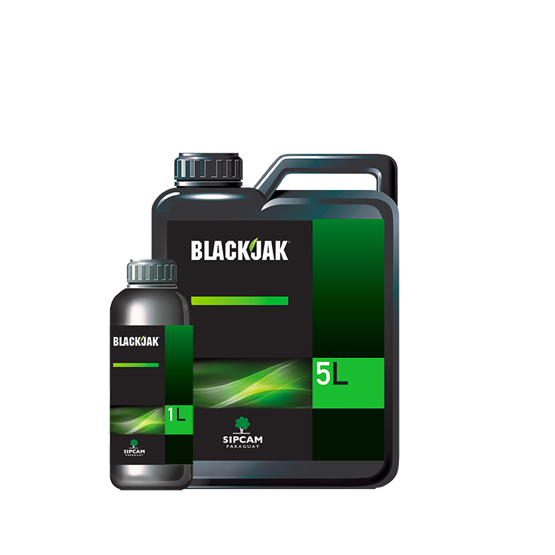 BLACKJAK- Sipcam Paraguay 